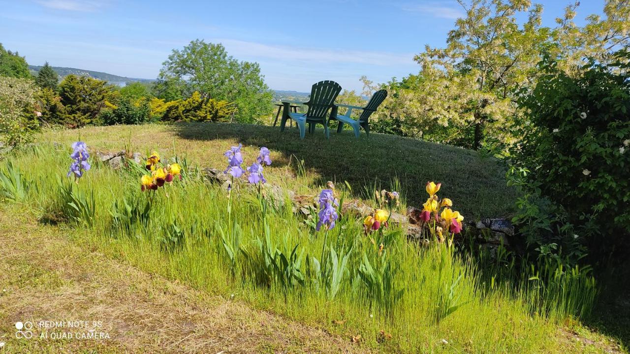 L'Angeline Bed and Breakfast Gennes-Val-de-Loire Εξωτερικό φωτογραφία