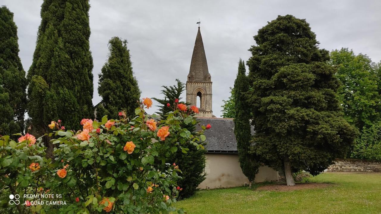 L'Angeline Bed and Breakfast Gennes-Val-de-Loire Εξωτερικό φωτογραφία